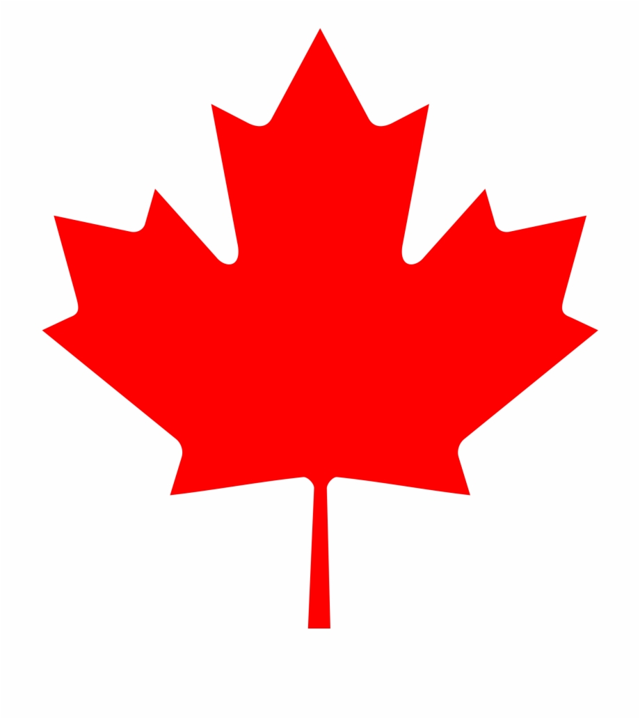 maple leaf