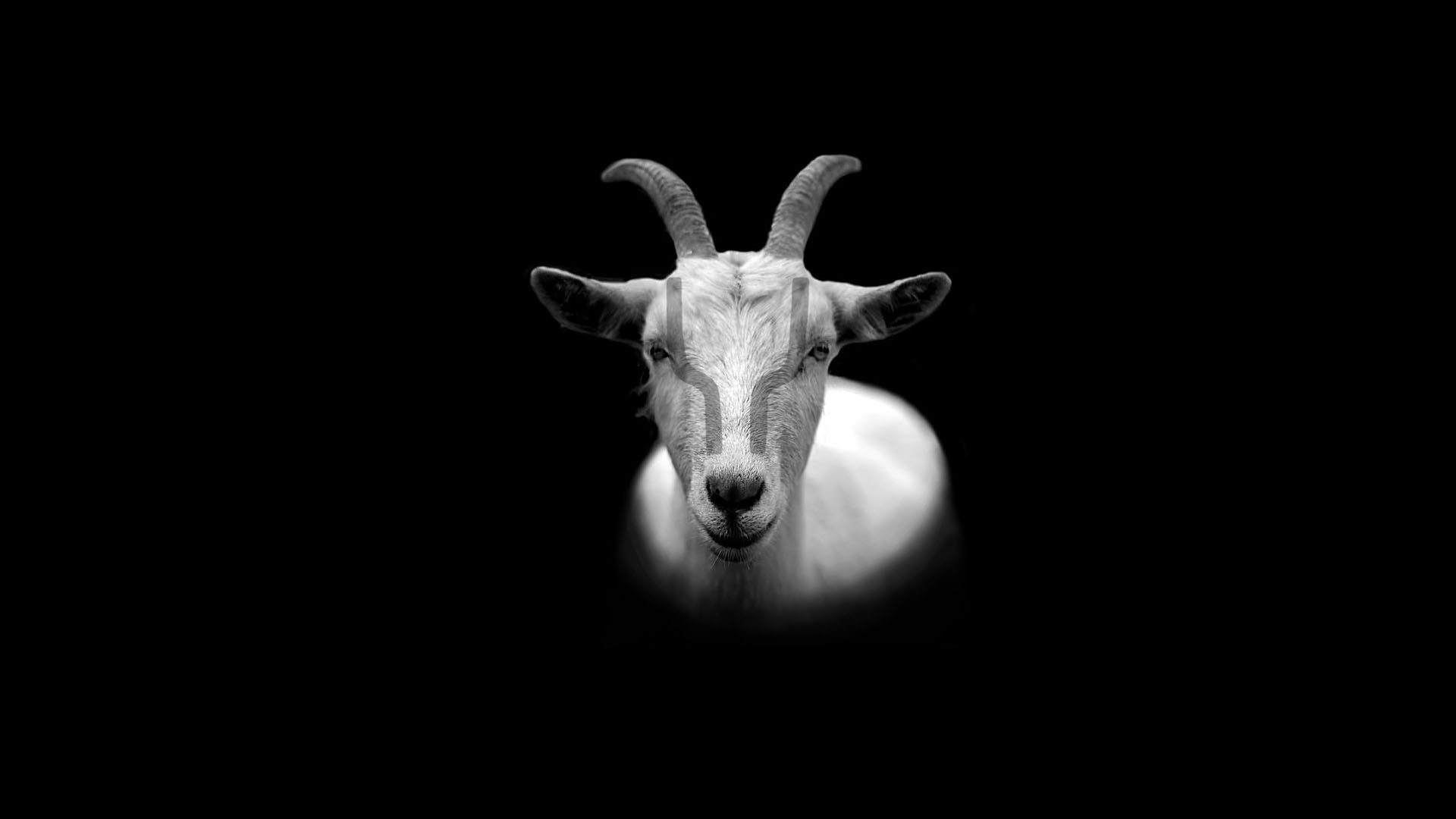 goatlogo